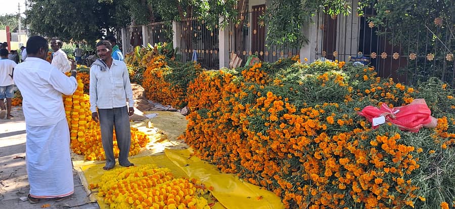 ಗಂಗಾವತಿ ನಗರದಲ್ಲಿ ರೈತರು ಚೆಂಡು ಹೂವು ಮಾರಾಟ ಮಾಡಿದರು