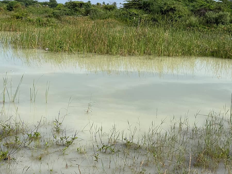 ಗೌರಿಬಿದನೂರು ಮರಳೂರು ಕೆರೆಗೆ ಹರಿಯುವ ಉತ್ತರ ಪಿನಾಕಿನಿ ನದಿ ಕಾಲುವೆಗೆ ಕಾರ್ಖಾನೆಯ ರಾಸಾಯನಿಕ ತ್ಯಾಜ್ಯದ ನೀರು ಸೇರಿರುವುದು