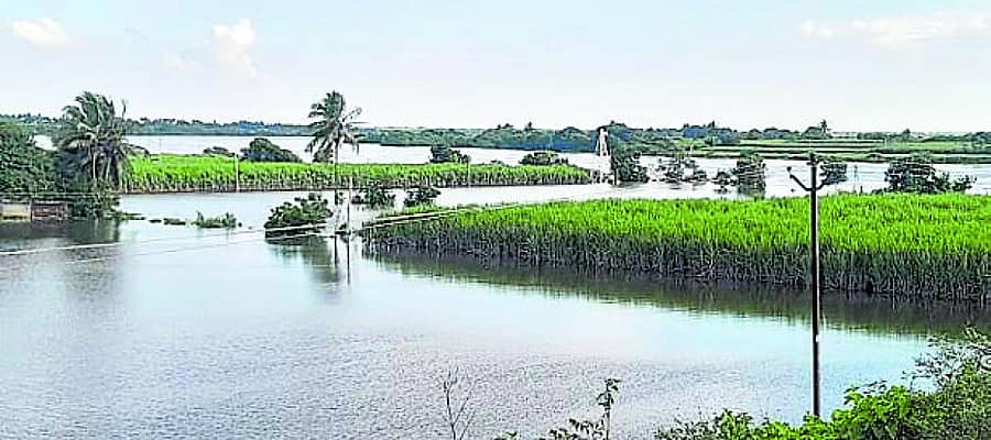 <div class="paragraphs"><p>ಭೀಮಾ ನದಿ ಪ್ರವಾಹದಿಂದ ಧೂಳಖೇಡ ಗ್ರಾಮದ ಹೊಲದಲ್ಲಿ ಅಪಾರ ಪ್ರಮಾಣದ ನೀರು ಆವರಿಸಿದೆ</p></div>