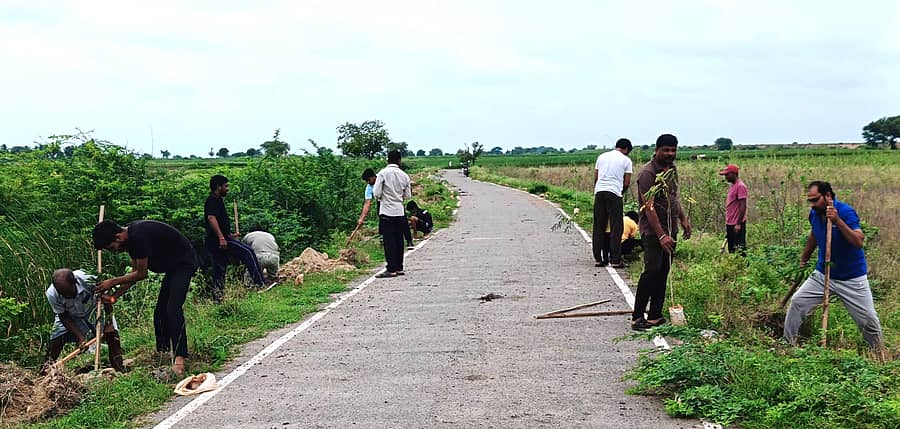 ದೇವದುರ್ಗ ತಾಲ್ಲೂಕಿನ ಗಬ್ಬೂರು ರಸ್ತೆ ಬದಿಯಲ್ಲಿ ‌‘ಶರಣರಿಗೊಂದು ಸಸಿ’ ಅಭಿಯಾನದಡಿ ಸಸಿ ನಾಟಿ ಮಾಡಿದ ಯುವ ಬ್ರಿಗೇಡ್ ತಂಡ