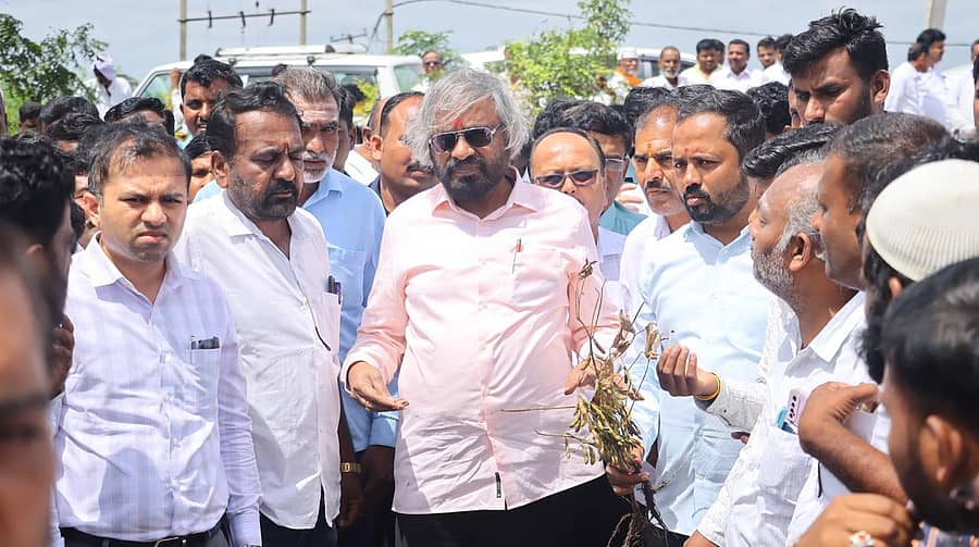 ಹುಲಸೂರ ಸಮೀಪದ ಭಾಲ್ಕಿ ತಾಲ್ಲೂಕಿನ ಸಾಯಗಾಂವ ಗ್ರಾಮದ ಜಮೀನಿನಲ್ಲಿ ಅತಿವೃಷ್ಟಿಯಿಂದ ಹಾನಿಯಾದ ಸೋಯಾ ಅವರೆ ಬೆಳೆಯನ್ನು ಜಿಲ್ಲಾ ಉಸ್ತುವಾರಿ ಸಚಿವ ಈಶ್ವರ ಖಂಡ್ರೆ ಪರಿಶೀಲಿಸಿದರು
