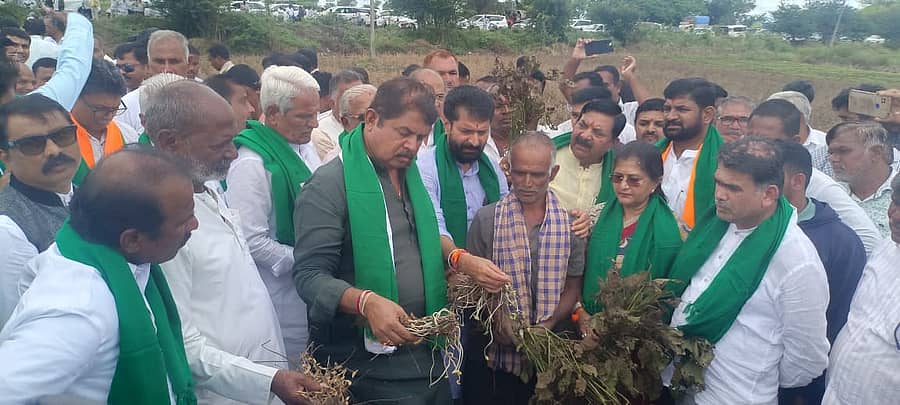 <div class="paragraphs"><p>ಬಿಜೆಪಿ ನಾಯಕರಿಂದ ಬೆಳೆಹಾನಿ ವೀಕ್ಷಣೆ</p></div>