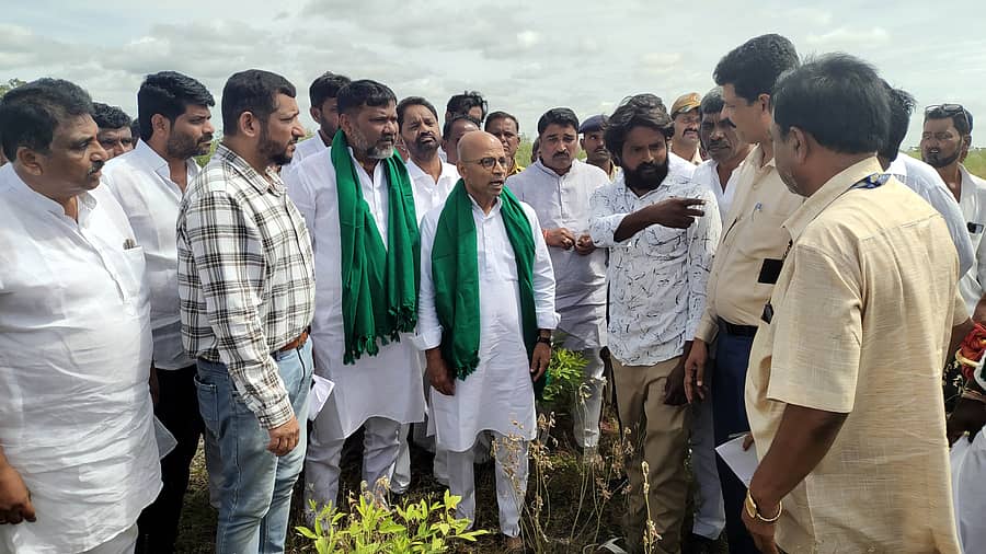 ಮಸ್ಕಿ ತಾಲ್ಲೂಕಿನ ಸಂತೆಕೆಲ್ಲೂರು ಗ್ರಾಮದ ಬಳಿ ಜಿಲ್ಲಾ ಉಸ್ತವಾರಿ ಸಚಿವ ಡಾ.ಶರಣಪ್ರಕಾಶ ಪಾಟೀಲ ಬೆಳೆ ಹಾನಿ ವೀಕ್ಷಿಸಿದರು. ಶಾಸಕ ಆರ್.ಬಸನಗೌಡ ತುರ್ವಿಹಾಳ, ವಿಧಾನ ಪರಿಷತ್ ಸದಸ್ಯ ಶರಣಗೌಡ ಪಾಟೀಲ ಬಯ್ಯಾಪುರ, ಎ.ವಸಂತಕುಮಾರ ಇದ್ದರು