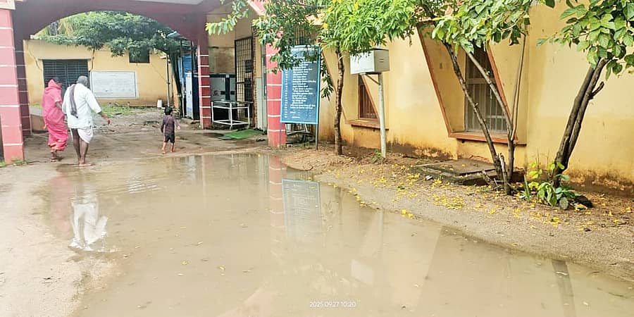 ಕವಿತಾಳದ ಸಮುದಾಯ ಆರೋಗ್ಯ ಕೇಂದ್ರದ ಆವರಣದಲ್ಲಿ ಮಳೆ ನೀರು ನಿಂತಿರುವುದು