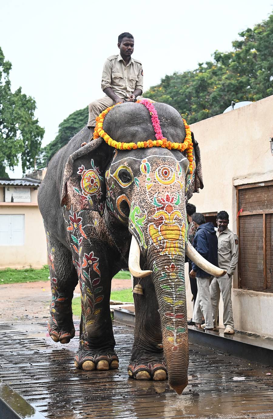 <div class="paragraphs"><p>ಪ್ರಶಾಂತ್&nbsp;</p></div>