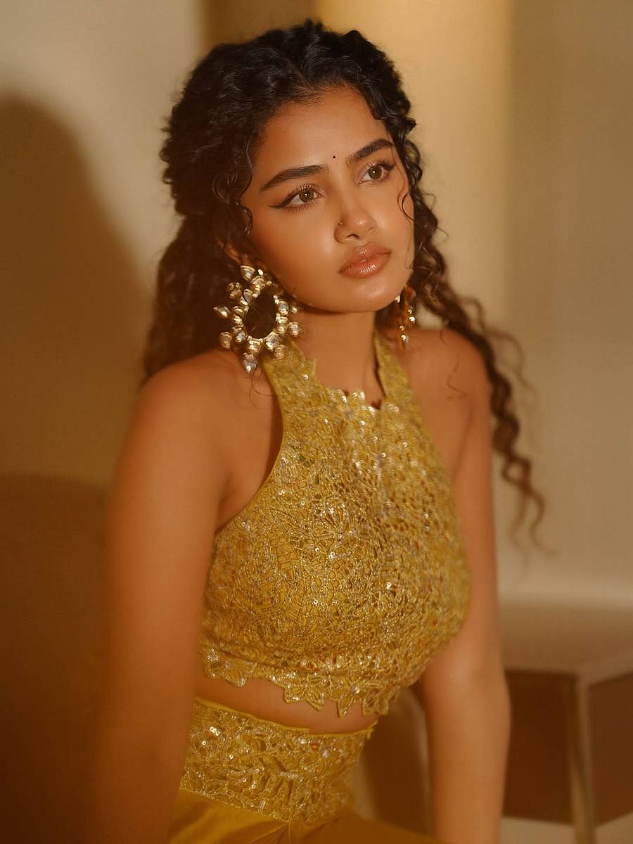 <div class="paragraphs"><p>ಚಿತ್ರ ಕೃಪೆ:&nbsp;Anupama Parameswaran</p></div>