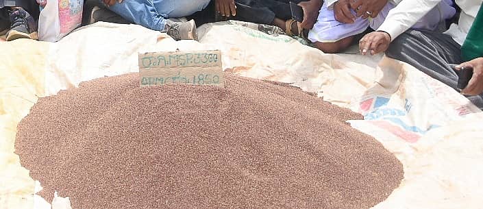 ರಾಗಿ