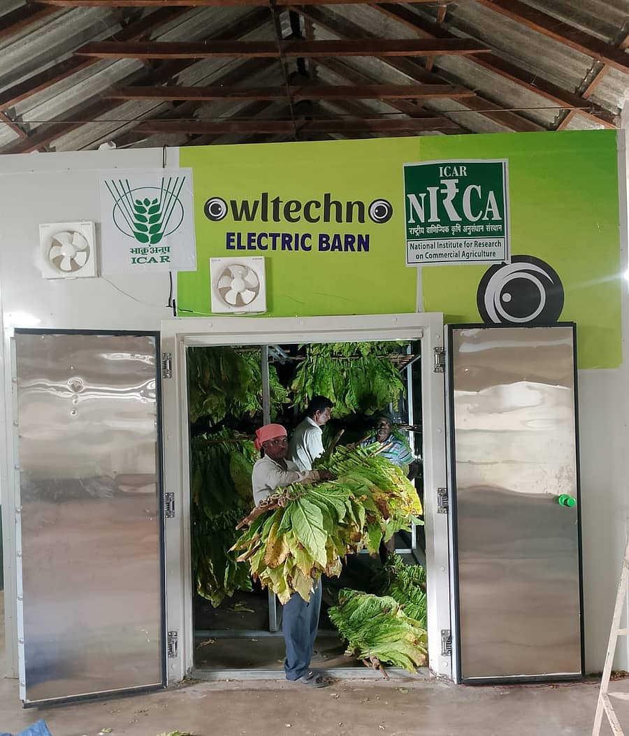 ಹುಣಸೂರಿನ ತಂಬಾಕು ಸಂಶೋಧನಾ ಕೇಂದ್ರದಲ್ಲಿ ನಡೆದಿರುವ ವಿದ್ಯುತ್ ಚಾಲಿತ ತಂಬಾಕು ಹದಗೊಳಿಸುವ ಬ್ಯಾರನ್ಗೆ ತಂಬಾಕು ತುಂಬಿಸುತ್ತಿರುವುದು