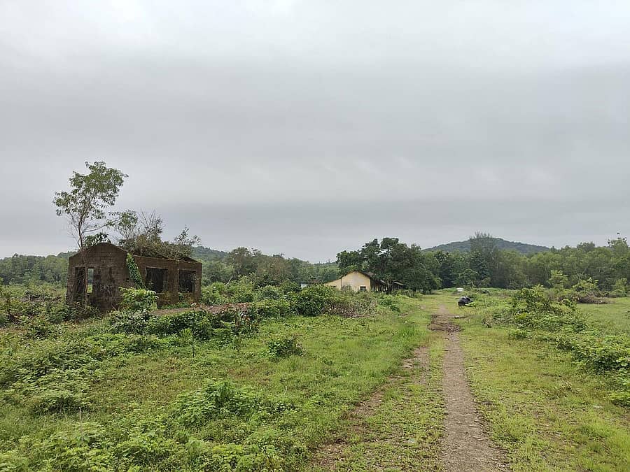 ಒಳಗೆ ಬಳಸಬಹುದು
ಕಾರವಾರ ತಾಲ್ಲೂಕಿನ ಮಾಜಾಳಿಯಲ್ಲಿದ್ದ ರಾಘೋಜಿ ಸಿಮೆಂಟ್ ಉತ್ಪಾದನಾ ಕಂಪನಿ ಇದ್ದ ಜಾಗದಲ್ಲೀಗ ಗಿಡಗಂಟಿ ಬೆಳೆದು, ಕೈಗಾರಿಕೆ ಆವರಣ ಪಾಳು ಬಿದ್ದಿದೆ.