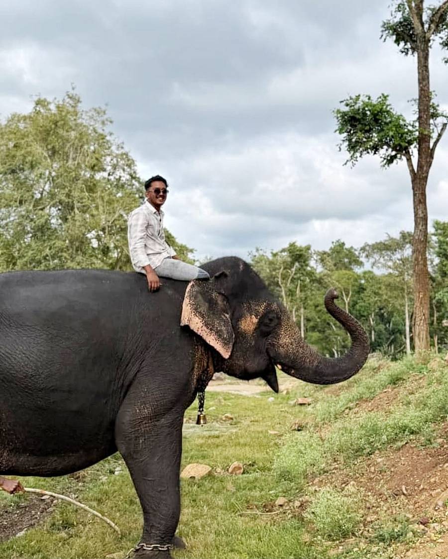 ಬಂಡೀಪುರ ಹುಲಿ ಸಂರಕ್ಷಿತ ಪ್ರದೇಶದ ರಾಂಪುರ ಆನೆ ಶಿಬಿರದಲ್ಲಿರುವ ಸಾಕಾನೆ ಮೇಲೆ ಯುವಕ ಆಕ್ರಮವಾಗಿ ಕುಳಿತಿರುವುದು.