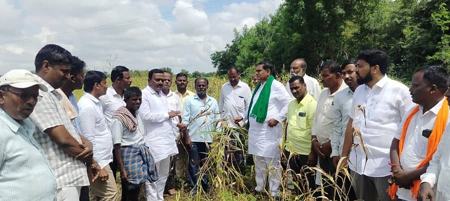 ಬೆಳೆ ಹಾನಿ ಪ್ರದೇಶಗಳನ್ನು ವಿಕ್ಷಣೆ ಮಾಡಿದ ಮಾಜಿ ಶಾಸಕ ನಡಹಳ್ಳಿ