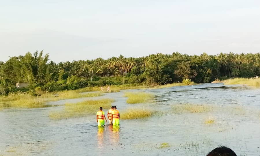 <div class="paragraphs"><p>ಕುಣಿಗಲ್‌ ತಾಲ್ಲೂಕಿನ ಮಾರ್ಕೋನಹಳ್ಳಿ ಜಲಾಶಯದ ಹಿನ್ನೀರಿನಲ್ಲಿ ಮೃತದೇಹಗಳ ಶೋಧಕಾರ್ಯ ನಡೆಯಿತು</p></div>