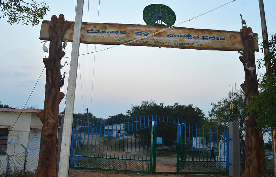 ಯಾದಗಿರಿ ಜಿಲ್ಲೆ ಸುರಪುರ ತಾಲ್ಲೂಕಿನ ಬೋನಾಳ ಕೆರೆ ಪಕ್ಷಿಧಾಮ