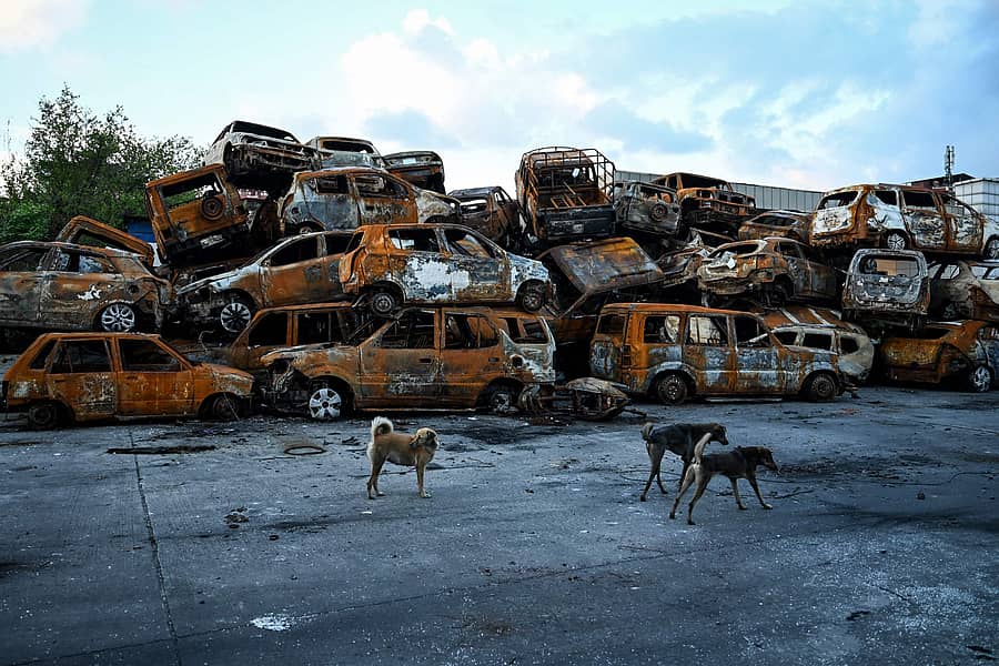 ಸೆಪ್ಟೆಂಬರ್ ಪ್ರತಿಭಟನೆ ವೇಳೆ ಸುಟ್ಟುಹಾಕಲಾದ ವಾಹನಗಳ ಮುಂದೆ ಬೀದಿನಾಯಿಗಳು (ಎಎಫ್ಪಿ ಚಿತ್ರ)