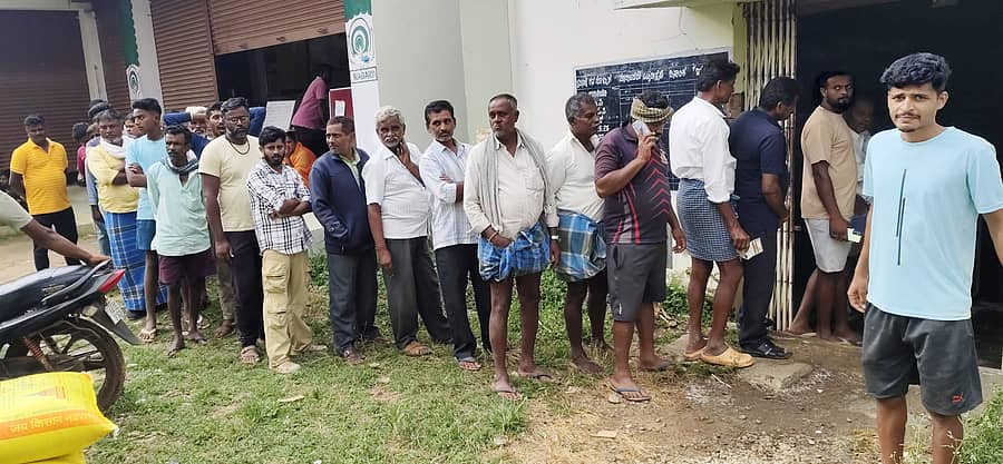 ಹಿರೀಸಾವೆಯ ಕೃಷಿ ಪತ್ತಿನ ಸಹಕಾರ ಸಂಘದಲ್ಲಿ ಯೂರಿಯಾ ಗೊಬ್ಬರ ಕೊಳ್ಳಲು ರೈತರು ಶುಕ್ರವಾರ ಸರತಿಯಲ್ಲಿ ಇದ್ದರು.