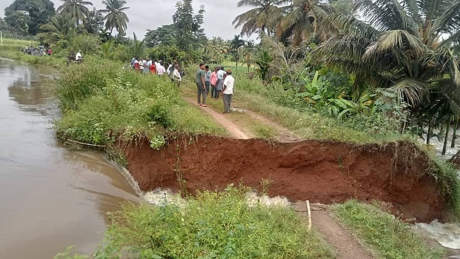 <div class="paragraphs"><p>ಒಡೆದ ಸಿಡಿಎಸ್ ನಾಲೆ ಏರಿ</p></div>