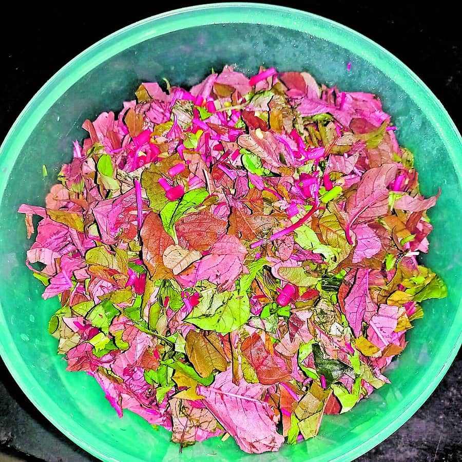 <div class="paragraphs"><p>ಕೆಂಪುಹರಿವೆ ಕಲಸನ್ನ</p></div>