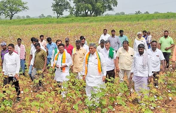 11ಎಸ್ಎಚ್ಪಿ 1:ಶಹಾಪುರ ತಾಲ್ಲೂಕಿನ ಗಂಗನಾಳ ಗ್ರಾಮದ ಜಮೀನುಗಳಿಗೆ ಶನಿವಾರ ಬಿಜೆಪಿ ತಂಡವು ಬೆಳೆ ಹಾನಿ ವೀಕ್ಷಣೆ ಮಾಡಿತು