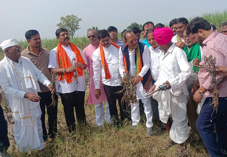 ಬೀದರ್ ಜಿಲ್ಲೆಯ ಬಿಜೆಪಿ ಶಾಸಕರು ಹಾಗೂ ಮುಖಂಡರು ಔರಾದ್ ತಾಲ್ಲೂಕಿನ ಕೌಠಾದಲ್ಲಿ ಬೆಳೆ ಹಾನಿ ವೀಕ್ಷಣೆ ಮಾಡಿದರು