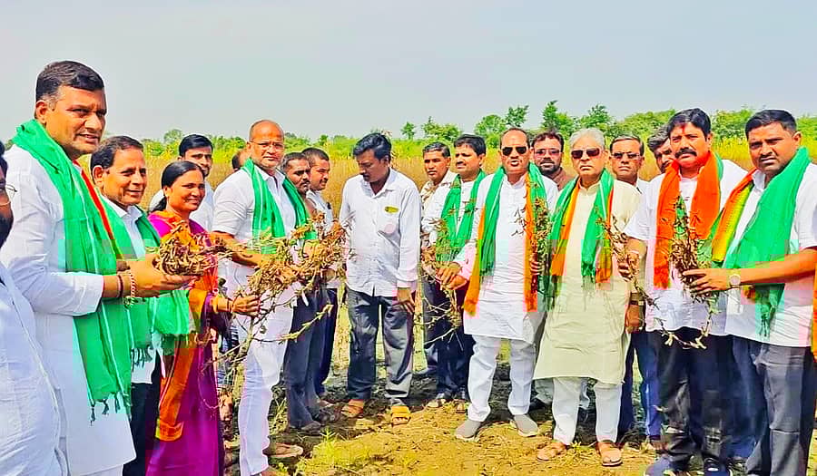 ಹುಲಸೂರ ತಾಲ್ಲೂಕಿನ ಸೋಲದಾಪಕ ಹಾಗೂ ಬೇಲೂರ ಗ್ರಾಮಗಳ ವಿವಿಧ ರೈತರ ಹೊಲಗಳಿಗೆ ಬಿಜೆಪಿ ಜಿಲ್ಲಾಧ್ಯಕ್ಷ ಸೋಮನಾಥ ಪಾಟೀಲ ನೇತೃತ್ವದಲ್ಲಿ ಬಿಜೆಪಿ ನಾಯಕರು ಮಳೆಯಿಂದ ಹಾನಿಗೆ ಒಳಗಾದ ಸೋಯಾ ಅವರೆ, ತೊಗರಿ ಬೆಳೆಗಳನ್ನು ಶನಿವಾರ ವೀಕ್ಷಿಸಿ ಕಂದಾಯ ಇಲಾಖೆ ಅಧಿಕಾರಿಗಳು ಮತ್ತು ರೈತರಿಂದ ಮಾಹಿತಿ ಪಡೆದರು