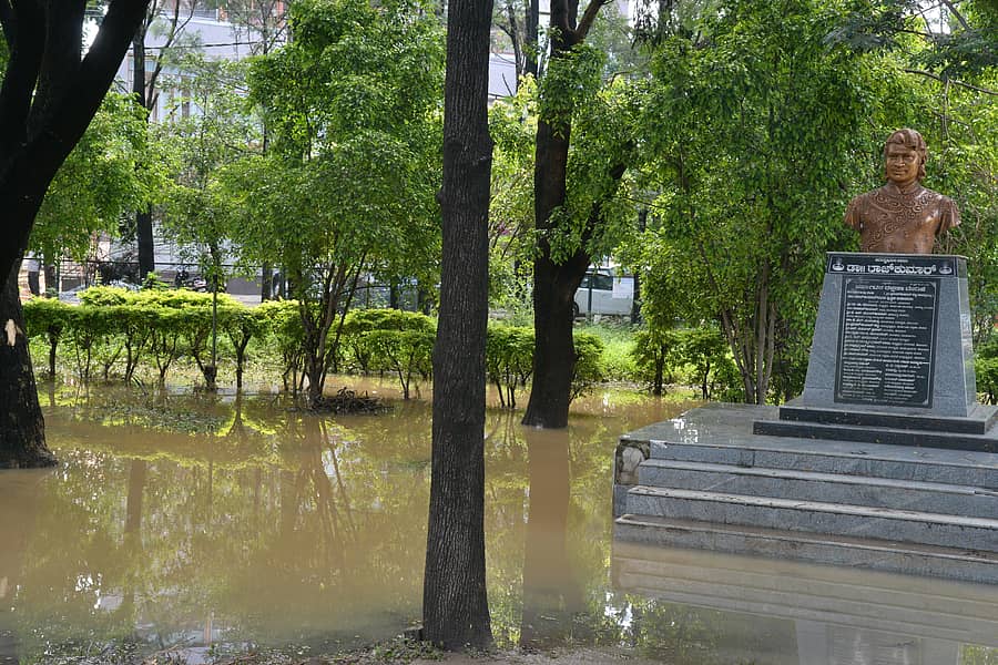 ಕೋಲಾರದ ಕುವೆಂಪು ಉದ್ಯಾನದಲ್ಲಿ ಡಾ.ರಾಜ್‌ಕುಮಾರ್ ಪುತ್ಥಳಿ ಸುತ್ತ ನೀರು ನಿಂತಿರುವುದು