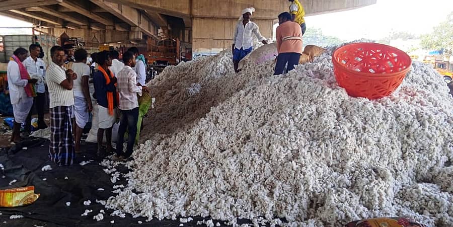 ಕುಷ್ಟಗಿ ಎಪಿಎಂಸಿ ಮುಂದಿನ ಚತುಷ್ಪಥ ಹೆದ್ದಾರಿ ಫ್ಲೈಒವರ್‌ ಕೆಳಗೆ ಹತ್ತಿ ವ್ಯಾಪಾರ ನಡೆಯುತ್ತಿರುವುದು