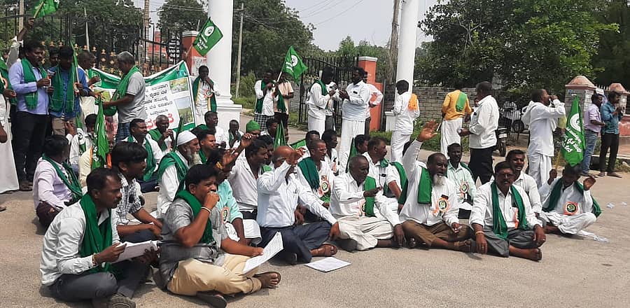 <div class="paragraphs"><p>ರಾಯಚೂರು: ಬೆಳೆ ನಷ್ಟ ಪರಿಹಾರ ಕೊಡಲು ಒತ್ತಾಯ– ರೈತ ಸಂಘದ ಕಾರ್ಯಕರ್ತರ ಪ್ರತಿಭಟನೆ</p></div>