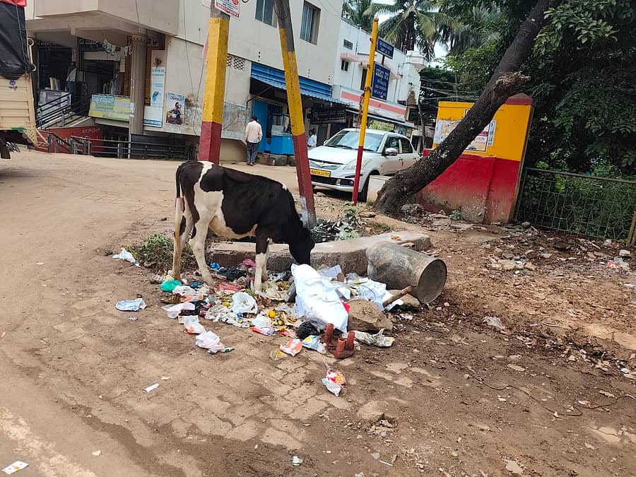 ಹಿರೇಕೆರೂರ ಪಟ್ಟಣದ ಪ್ರವಾಸಿ ಮಂದಿರ ಬಳಿ ಕಸದ ರಾಶಿ 