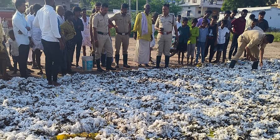 ಕವಿತಾಳ ಸಮೀಪದ ಬಾಗಲವಾಡ ಗ್ರಾಮದಲ್ಲಿ ಒಣಗಲು ಹಾಕಿದ್ದ ಹತ್ತಿಗೆ ವಿದ್ಯುತ್‌ ಕಿಡಿ ಬಿದ್ದು ಸುಟ್ಟಿರುವುದು.
