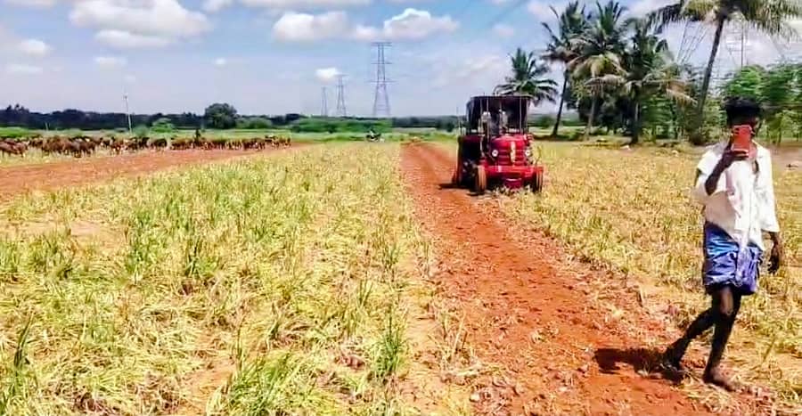 ಅಳವಂಡಿ ಸಮೀಪದ ಬೇಳೂರು ಗ್ರಾಮದ ರಾಮಣ್ಣ ಸೀಗನಳ್ಳಿ ಅವರ ಜಮೀನಲ್ಲಿ ಈರುಳ್ಳಿ ಬೆಳೆಯನ್ನು ಟ್ರಾಕ್ಟರ್ ಮೂಲಕ ನಾಶಪಡಿಸುತ್ತಿರುವುದು