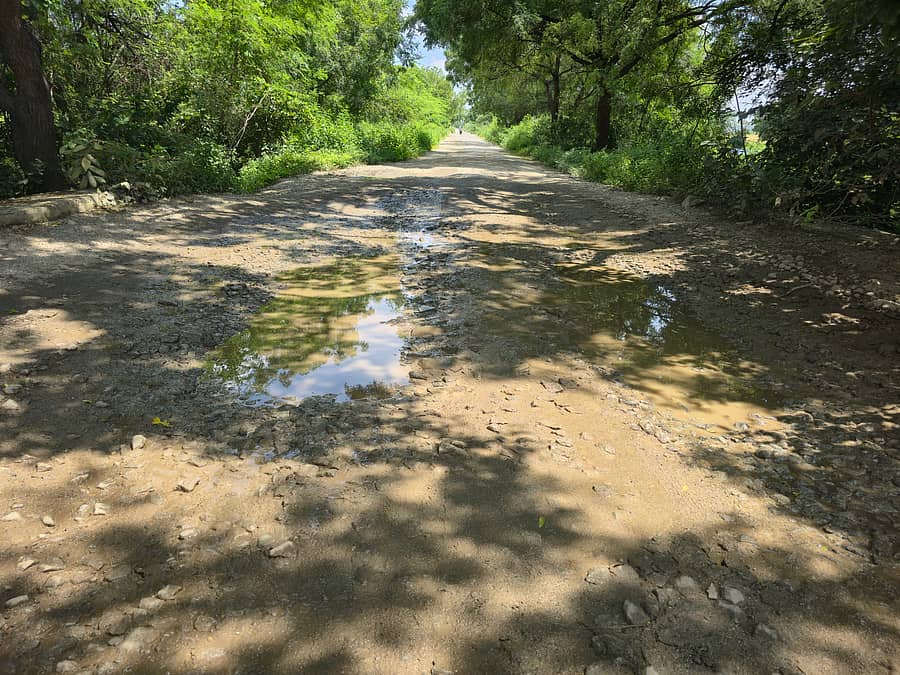 <div class="paragraphs"><p>ಯಾದಗಿರಿ ತಾಲ್ಲೂಕಿನ ವರ್ಕನಳ್ಳಿ– ಮೈಲಾಪುರ ನಡುವಿನ ರಸ್ತೆಯ ದುಸ್ಥಿತಿ</p></div>