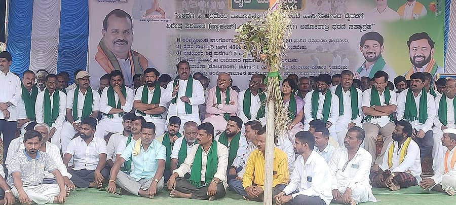 ಸಿಂದಗಿ ಪಟ್ಟಣದ ತಾಲ್ಲೂಕು ಪ್ರಜಾಸೌಧ ಆವರಣದಲ್ಲಿ ಮಂಗಳವಾರ ಬಿಜೆಪಿ ಮಂಡಲ ರೈತ ಮೋರ್ಚಾ ವತಿಯಿಂದ ಅಹೋರಾತ್ರಿ ಧರಣಿ ಸತ್ಯಾಗ್ರಹ ಆರಂಭಿಸಲಾಯಿತು