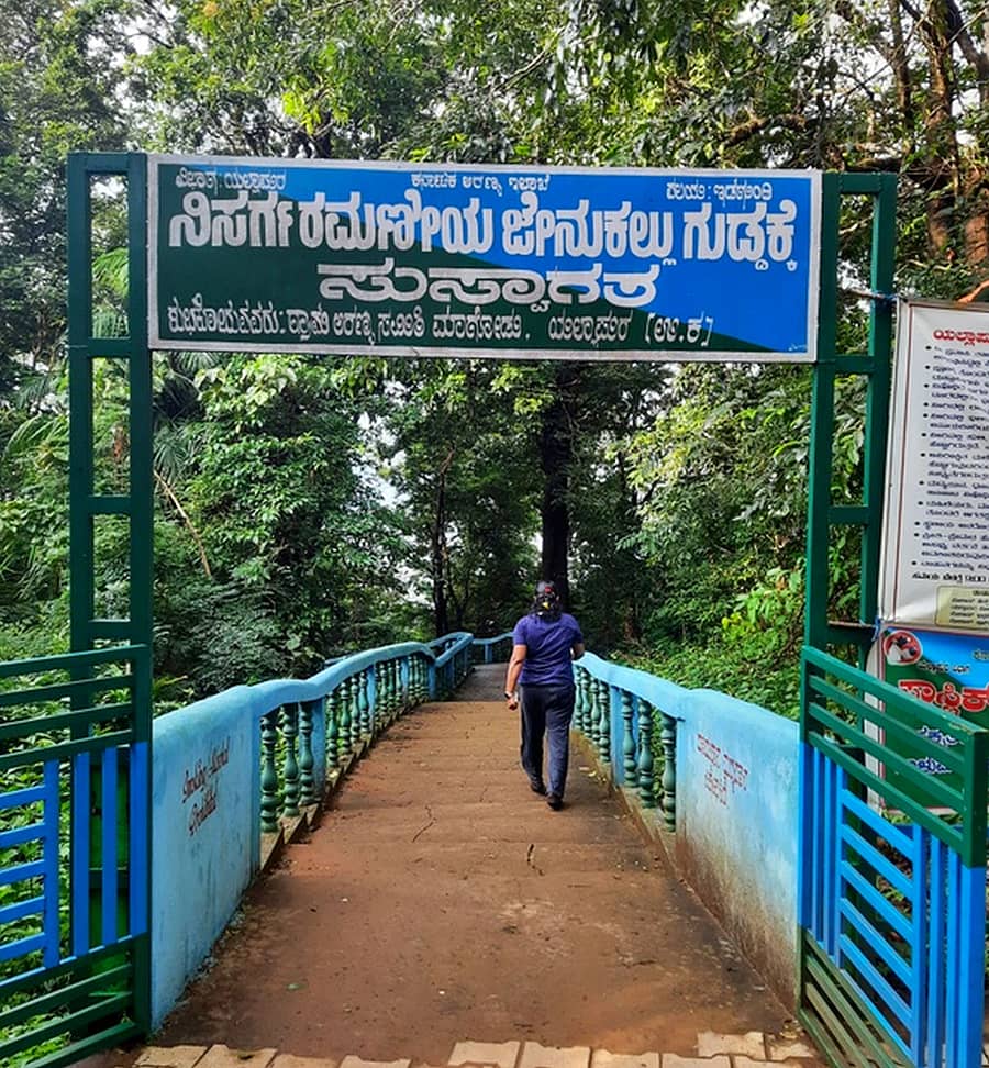 ಪ್ರಾತಿನಿಧಿಕ ಚಿತ್ರ 