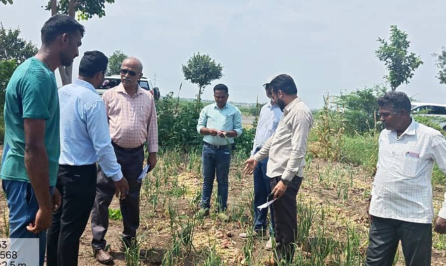 ಬಾಗಲಕೋಟೆ ಜಿಲ್ಲೆಯಲ್ಲಿನ ಈರುಳ್ಳಿ ಬೆಳೆ ಹಾನಿಯನ್ನು ಕೇಂದ್ರದ ಅಧಿಕಾರಿಗಳ ತಂಡ ವೀಕ್ಷಣೆ ಮಾಡಿತು