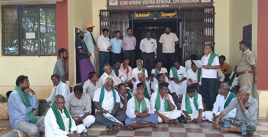 ಹಿರಿಯೂರು ತಾಲ್ಲೂಕಿನ ಬಬ್ಬೂರು ಫಾರಂನಲ್ಲಿರುವ ಕೃಷಿ ವಿಜ್ಞಾನ ಸಂಶೋಧನಾ ಕೇಂದ್ರದ ಮುಂದೆ ಬುಧವಾರ ತಾಲ್ಲೂಕು ರೈತ ಸಂಘ ಮತ್ತು ಹಸಿರುಸೇನೆ ನೇತೃತ್ವದಲ್ಲಿ ಧರಣಿ ನಡೆಸಲಾಯಿತು 