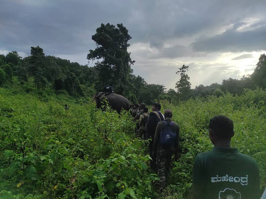 ಚಾಮರಾಜನಗರ ತಾಲ್ಲೂಕಿನ ಬಿಆರ್ಟಿ ಹುಲಿ ಸಂರಕ್ಷಿತ ಪ್ರದೇಶದ ಪುಣಜನೂರು–ಬೇಡಗುಳಿ ಸಮೀಪ ಹುಲಿಯ ಪತ್ತೆಗೆ ನಡೆಯುತ್ತಿರುವ ಕೂಬಿಂಗ್