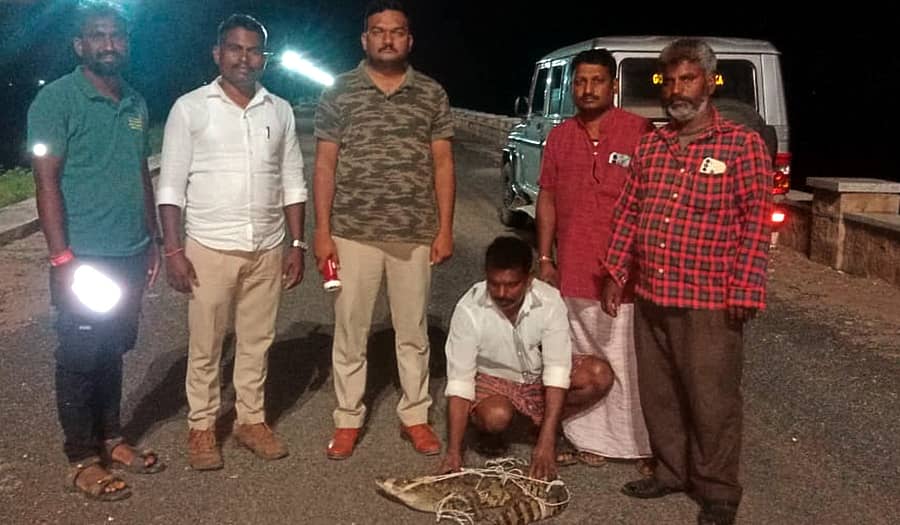 ಹುಣಸಗಿ ಸಮೀಪದ ದೇವತಕಲ್ಲ ಗ್ರಾಮದ ಹೊರವಲದಲ್ಲಿ ಕಾಣಿಸಿಕೊಂಡಿದ್ದ ಮೊಸಳೆ ಮರಿಯನ್ನು ಬಸವಸಾಗರ ಜಲಾಶಯದ ಹಿನ್ನೀರಿನಲ್ಲಿ ಬಿಡಲಾಯಿತು