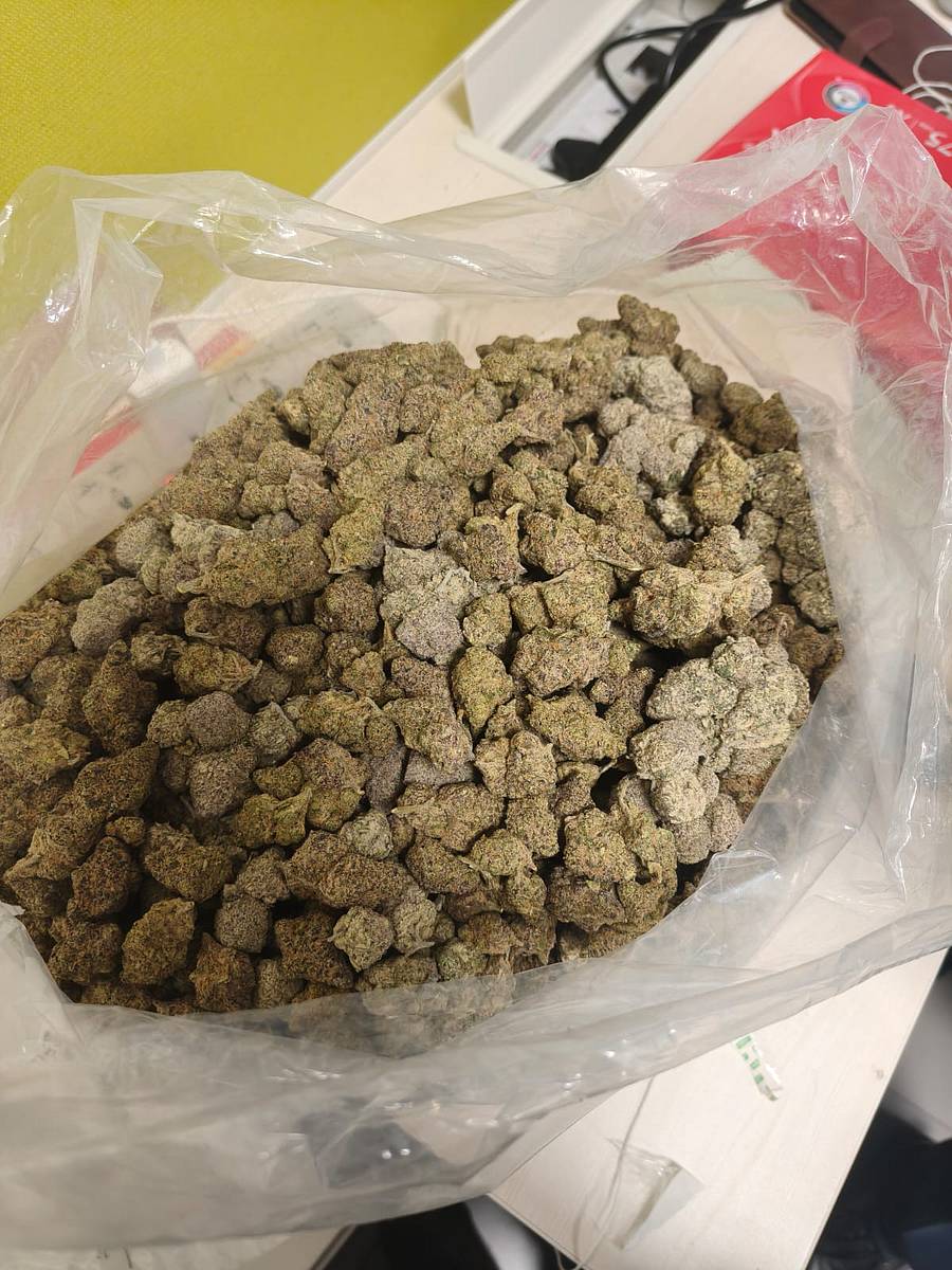 ಕಸ್ಟಮ್ಸ್ ಅಧಿಕಾರಿಗಳು ಜಪ್ತಿ ಮಾಡಿರುವ ಹೈಡ್ರೋ ಗಾಂಜಾ