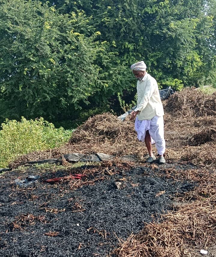 ಸುಟ್ಟು ಕರಕಲಾದ ಸೋಯಾ ಅವರೆ ಬೆಳೆ ಎದುರು ರೈತ ಕಾಶಿನಾಥ ಹೈಬತಿ