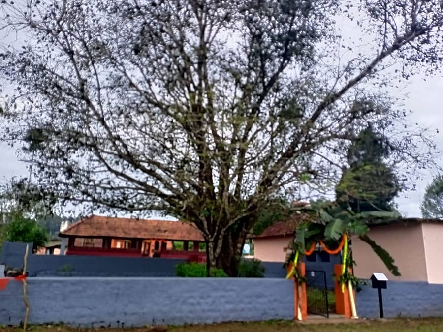 ನಾಪೋಕ್ಲು ಸಮೀಪದ ಬಲಮುರಿ ಗ್ರಾಮದ ಕಣ್ವ ಮುನೀಶ್ವರ ದೇವಾಲಯವನ್ನು ಜಾತ್ರೆಯ ಸಲುವಾಗಿ ಅಲಂಕರಿಸಿರುವುದು..