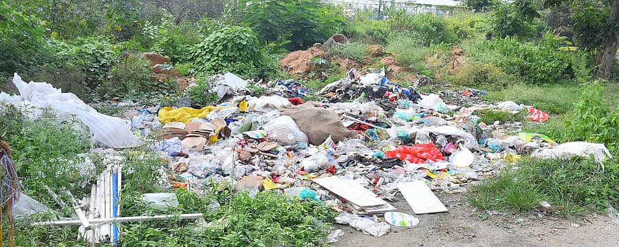 ತುಮಕೂರು ಅಮಾನಿಕೆರೆ ಬಳಿ ಕಸದ ರಾಶಿ