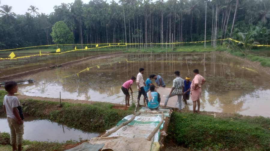 ಕೆಸರ್‌ದ ಕಂಡೊಡು ಪರ್ಬೊದ ಗೊಬ್ಬು ಕ್ರೀಡಾಕೂಟಕ್ಕೆ ತಯಾರಾದ ಕಟ್ರಬೈಲು ಆನಂದ ಪೂಜಾರಿ ಅವರ ಗದ್ದೆ