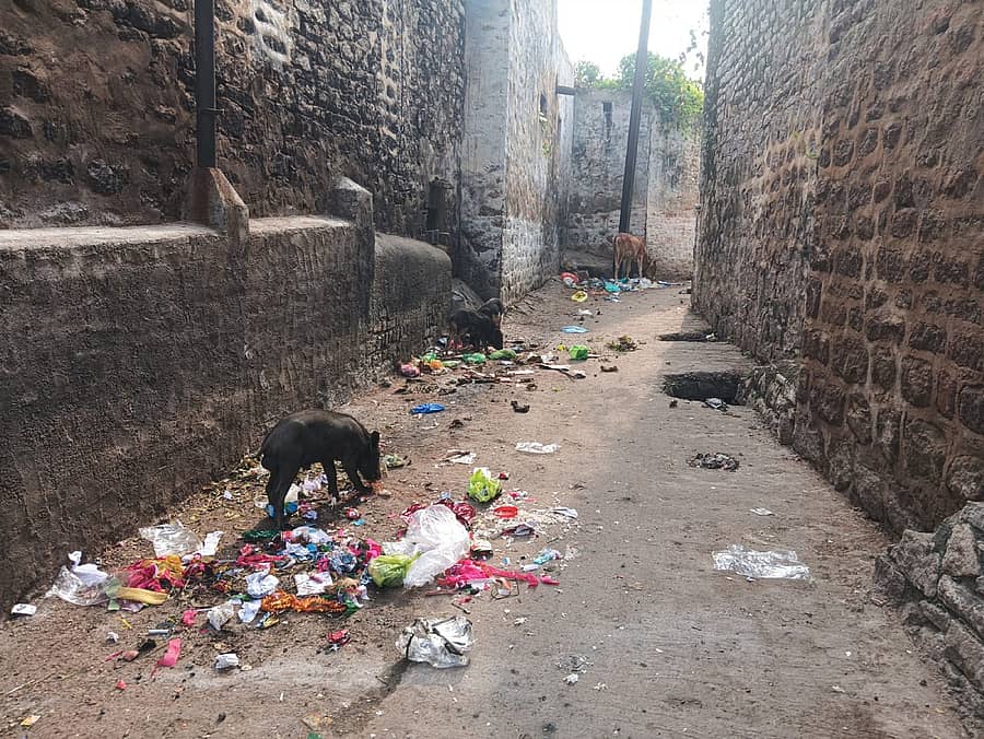 ಸುರಪುರದ ಪಾಂಡುರಂಗ ಗುಡಿ ಹತ್ತಿರ ತ್ಯಾಜ್ಯ ಸಂಗ್ರಹವಾಗಿರುವುದು