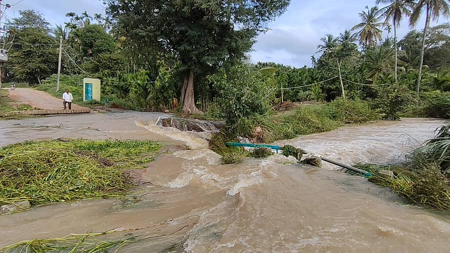 ಅರಕಲಗೂಡು ತಾಲ್ಲೂಕು ಕಾಶಿಪುರದಲ್ಲಿ ಕೆರೆ ಕೋಡಿ ಬಿದ್ದು ತಗ್ಗುಪ್ರದೇಶದ ಜಮೀನುಗಳಿಗೆ ನೀರು ನುಗ್ಗಿರುವುದು