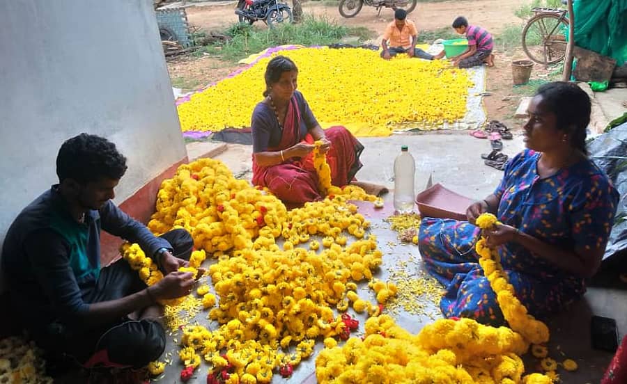 <div class="paragraphs"><p>ಮೇನಾಗರದಲ್ಲಿ ಗ್ರಾಮದಲ್ಲಿ ಸೇವಂತಿಗೆ ಹೂವು ಕಟ್ಟುತ್ತಿರುವ ರೈತ ಮಹಿಳೆಯರು</p></div>