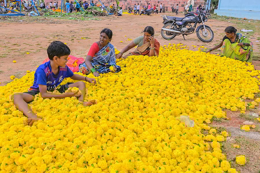 <div class="paragraphs"><p>ತ್ಯಾಜ್ಯವಾದ ರೈತನ ಶ್ರಮ..&nbsp;ಸೂಕ್ತ ಬೆಲೆ ಸಿಗದಿರುವುದರಿಂದ ರೈತರು ತ್ಯಾಜ್ಯವೆಂಬಂತೆ ಸುರಿದು ಹೋಗಿರುವ ಚೆಂಡು ಹೂಗಳನ್ನು ಆರಿಸಿಕೊಳ್ಳುತ್ತಿರುವ ಮಹಿಳೆಯರು ಮತ್ತು ಮಕ್ಕಳು ಮಂಗಳವಾರ ಕೊಪ್ಪಳದ ತಾಲ್ಲೂಕು ಕ್ರೀಡಾಂಗಣದಲ್ಲಿ ಕಂಡು ಬಂದಿತು. – </p></div>