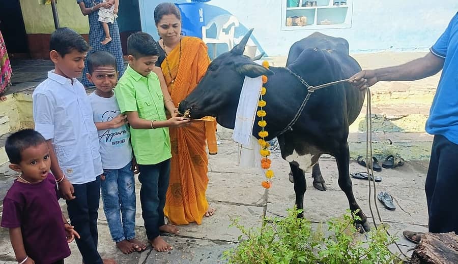 <div class="paragraphs"><p> ಗೋಪೂಜೆ</p></div>