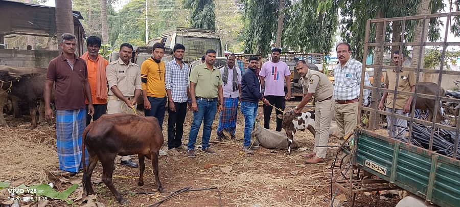 ನಂಜನಗೂಡು ತಾಲ್ಲೂಕಿನ ಹುಲ್ಲಹಳ್ಳಿ ಪೊಲೀಸ್ ಠಾಣಾ ವ್ಯಾಪ್ತಿಯಲ್ಲಿ ಮಂಗಳವಾರ ಅಕ್ರಮ ಸಾಗಾಟವಾಗುತ್ತಿದ್ದ ಜಾನುವಾರುಗಳನ್ನು ಪೊಲೀಸರು ರಕ್ಷಿಸಿದ್ದಾರೆ