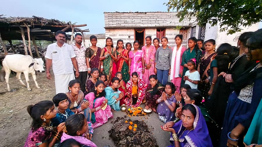 ಚಿಂಚೋಳಿ ತಾಲ್ಲೂಕಿನ ಕಲಭಾವಿ ತಾಂಡಾದಲ್ಲಿ ಮದುವಣಗಿತ್ತಿಯಿಂದ ಗೋಧಣ ಪೂಜೆಗೈಯ್ದು ನೈವೇದ್ಯ ಅರ್ಪಿಸುತ್ತಿರುವುದು