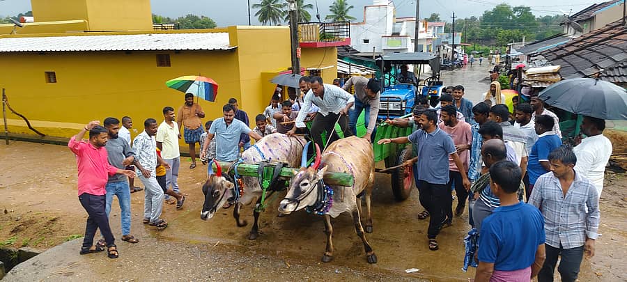 ಹಂಪಾಪುರ ಹೊರವಲಯದ ಬೆಳಗನಹಳ್ಳಿ ಗ್ರಾಮದಲ್ಲಿ ದೀಪಾವಳಿ ಅಂಗವಾಗಿ ಎತ್ತಿನ ಗಾಡಿ ಓಟ ನಡೆಯಿತು